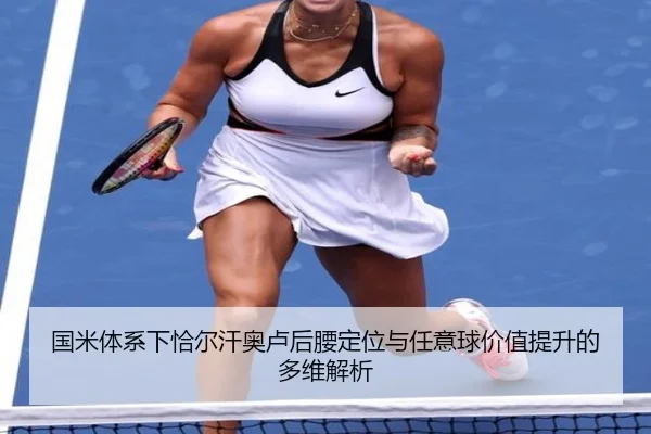 guo-mi-ti-xi-xia-qia-er-han-ao-lu-hou-yao-ding-wei-yu-ren-yi-qiu-jia-zhi-ti-sheng-de-duo-wei-jie-xi-2-299.jpg