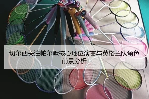 切尔西关注帕尔默核心地位演变与英格兰队角色前景分析
